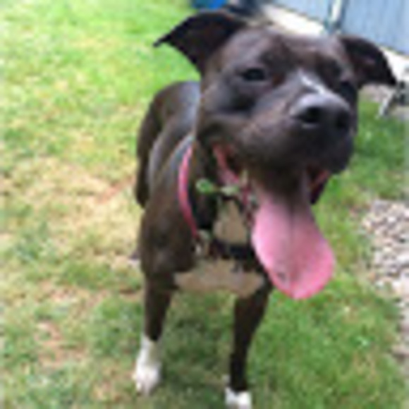 Meet your Posher, Jessica - Picture 1 of 1